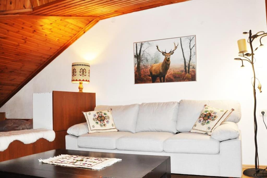 Cozy Loft With Fireplace & View 멧소보 외부 사진